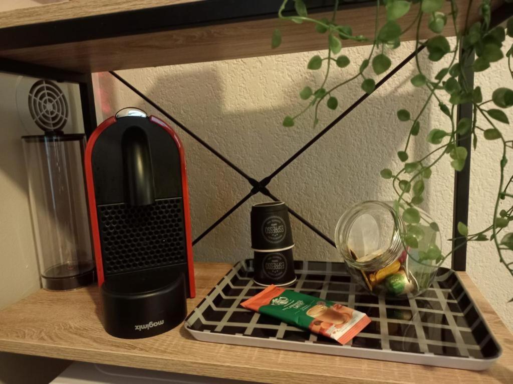Appartement Calme Et Bien Situe Tarbes Bagian luar foto